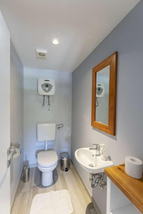 Villa Viscum In Central Istria For 8 Persons With Large Garden - Pet Friendly Pazin Ngoại thất bức ảnh