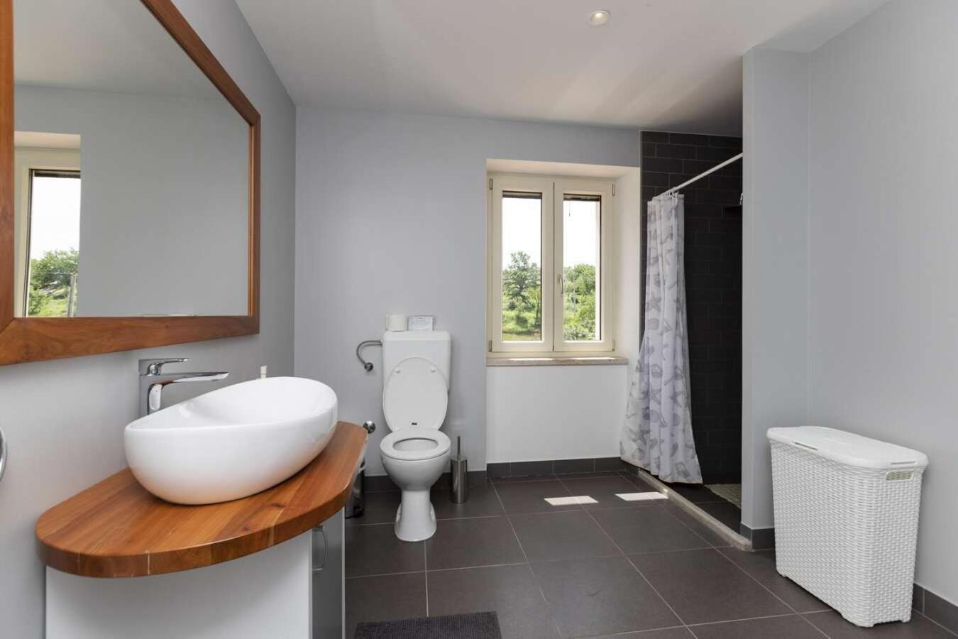 Villa Viscum In Central Istria For 8 Persons With Large Garden - Pet Friendly Pazin Ngoại thất bức ảnh